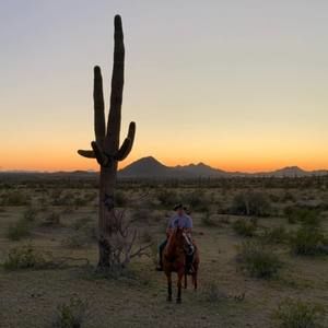 Meet your Posher, Benjamin